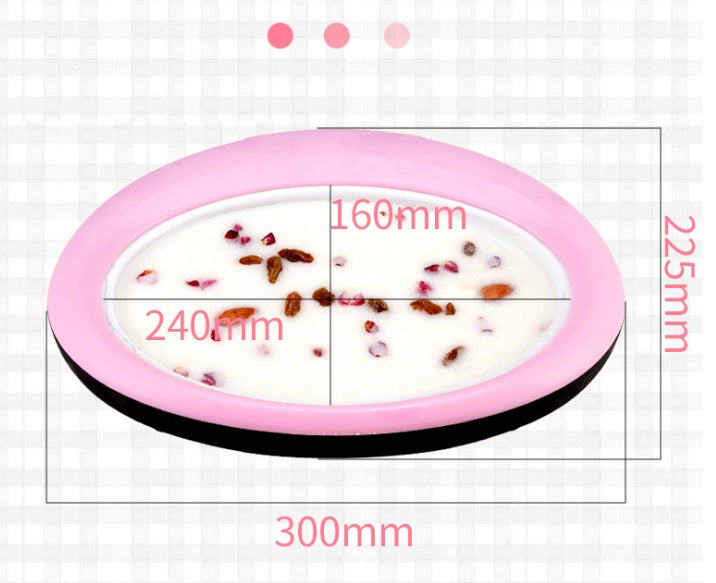 Home Fried Yogurt Maker