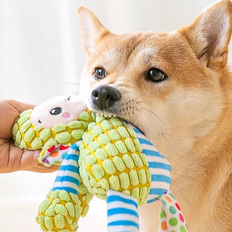 Pet Plush Toy - Interactive Squeaky