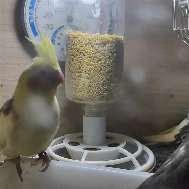 Automatic Hanging Bird Feeder with Anti-Scatter Dispenser