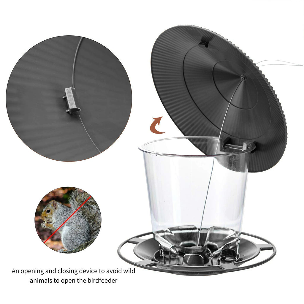 Hanging Outdoor Bird Feeder with Multiple Hole Dispenser