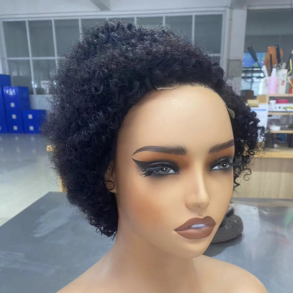 Glueless Curly Pixie Cut Human Hair Wig