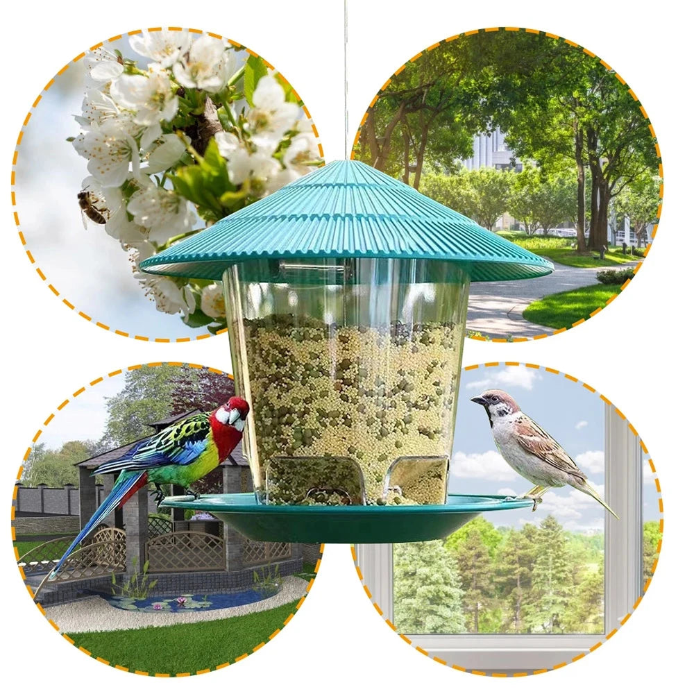 Hanging Bird Feeder with Multiple Hole Dispenser