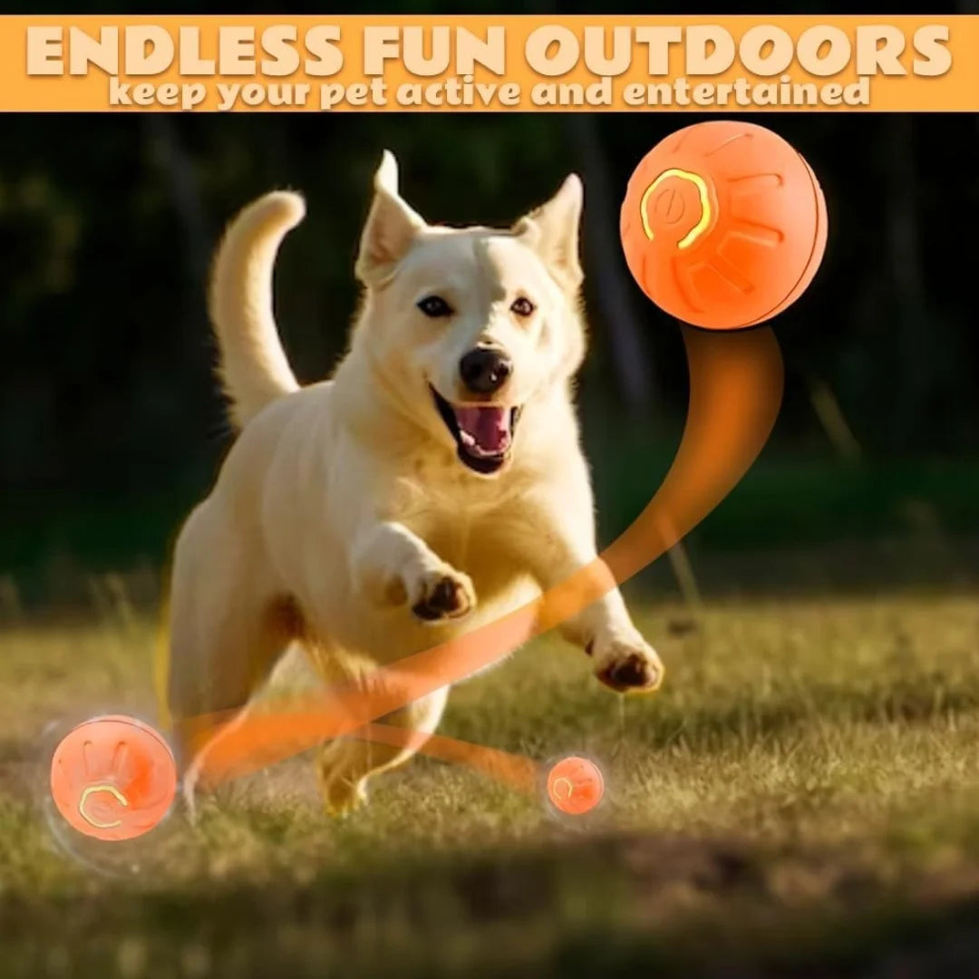 Pet toys Gravity Electric Amusement Ball, Smart Bouncing Ball