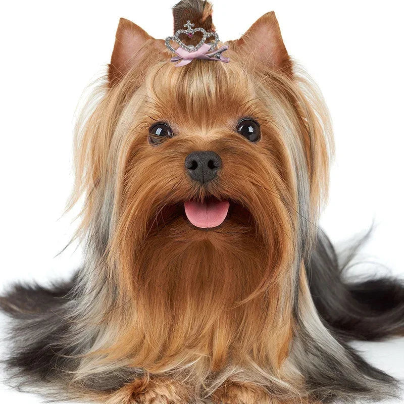 Pet Grooming Hair Clips for Dogs