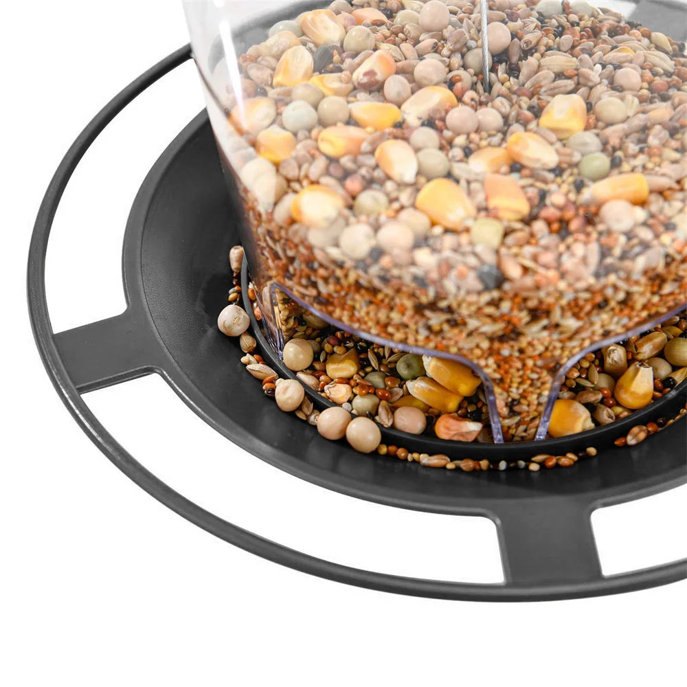 Hanging Outdoor Bird Feeder with Multiple Hole Dispenser