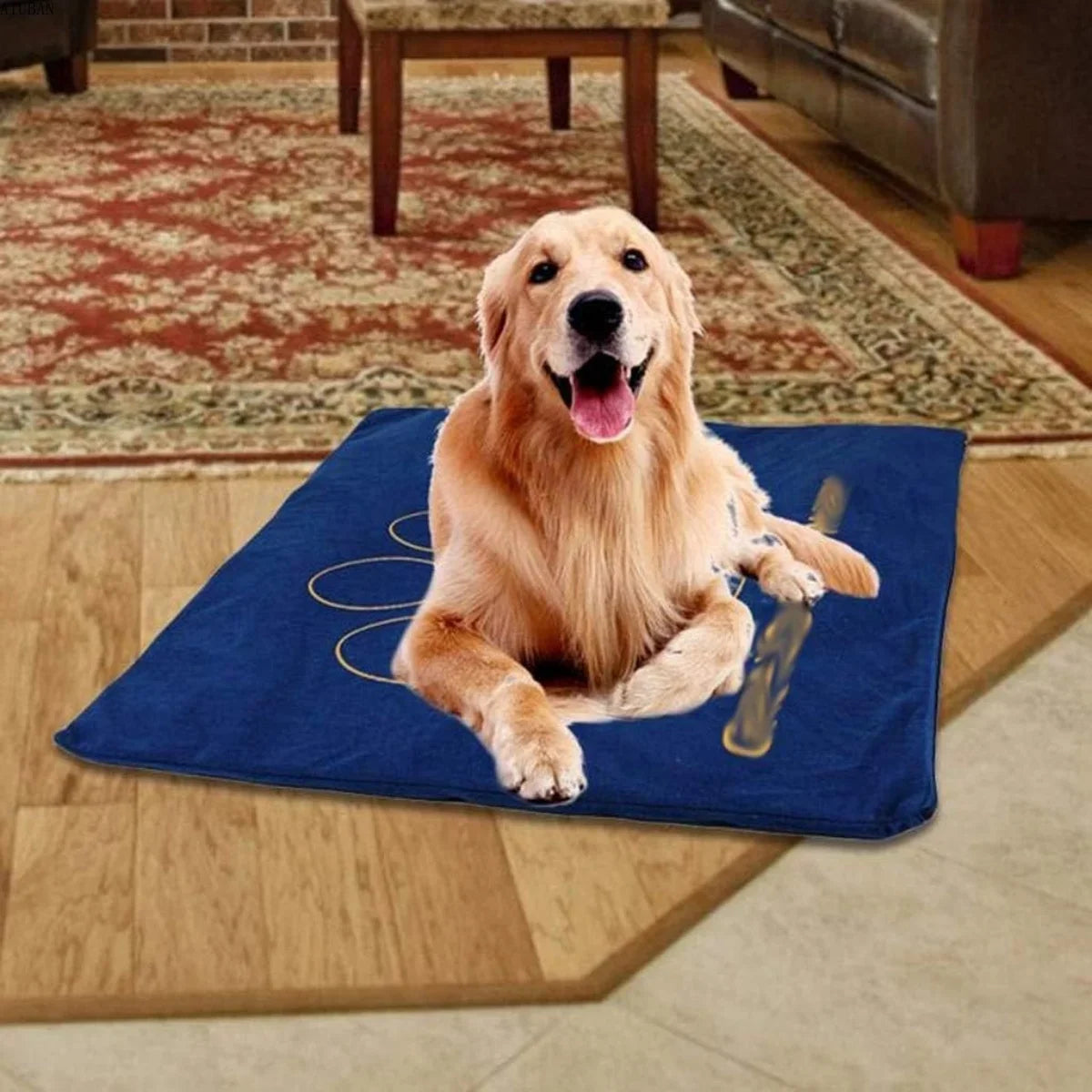Indoor Pet Heating Pad with Chew-Resistant Cord