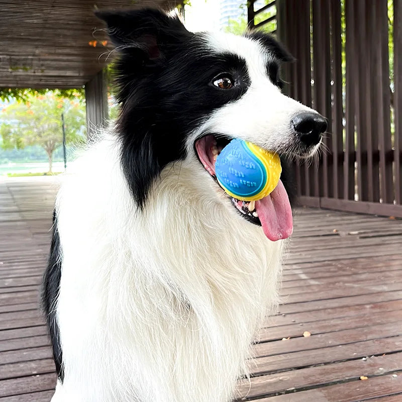 Bite-Resistant Squeaky Dog Ball Toy for Teeth Cleaning