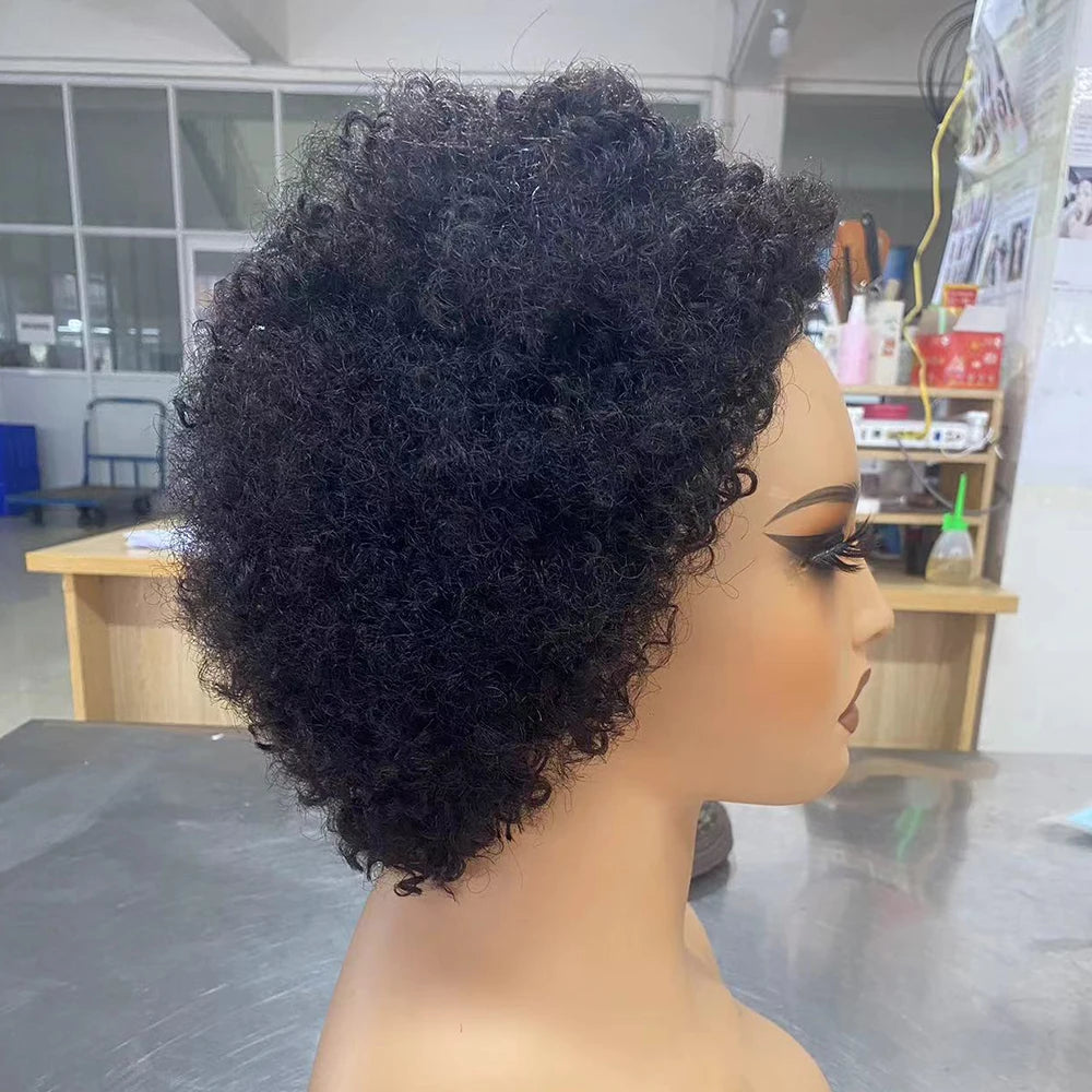 Glueless Curly Pixie Cut Human Hair Wig