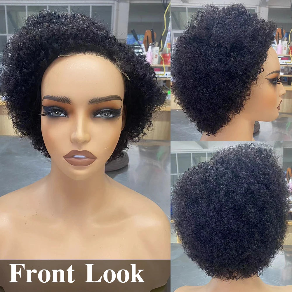 Glueless Curly Pixie Cut Human Hair Wig