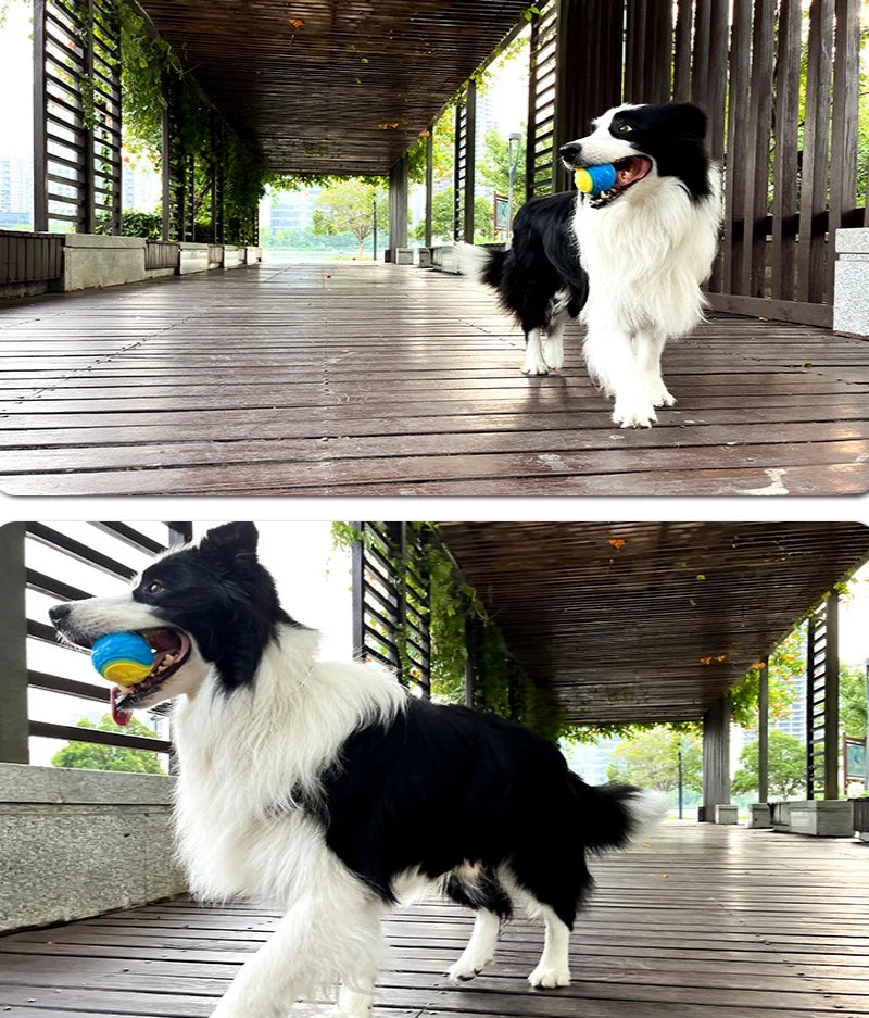 Pet Teeth Cleaning Bite Resistance Squeaky Dog Ball Toy