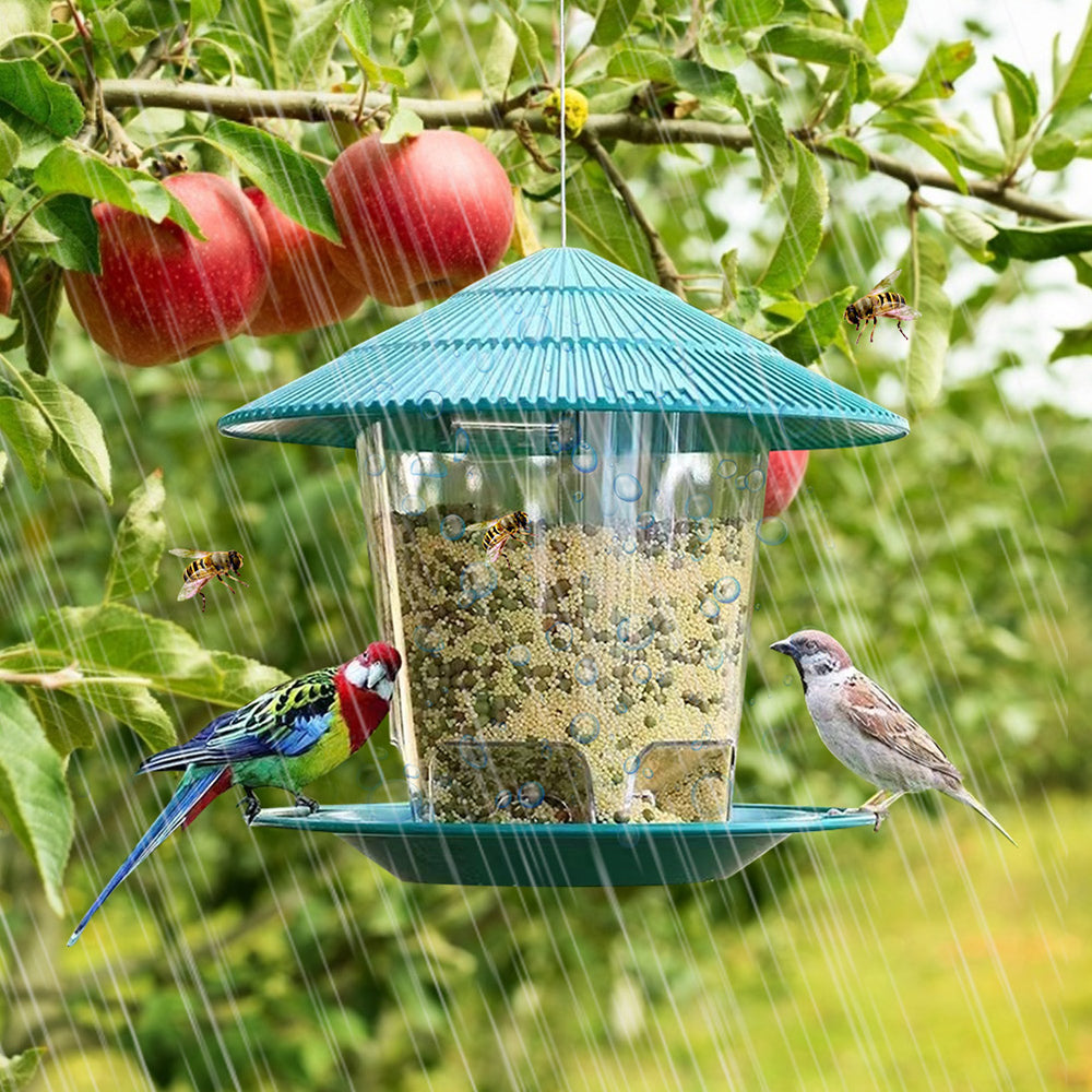 Hanging Bird Feeder with Multiple Hole Dispenser