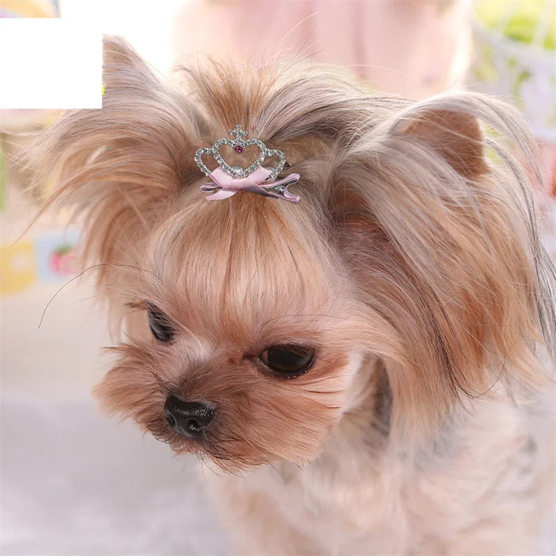 Pet Grooming Hair Clips for Dogs