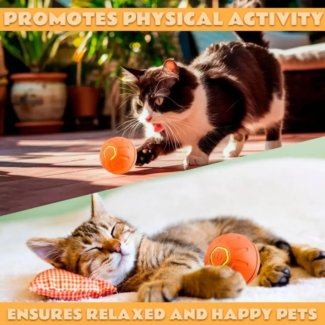 Pet toys Gravity Electric Amusement Ball, Smart Bouncing Ball