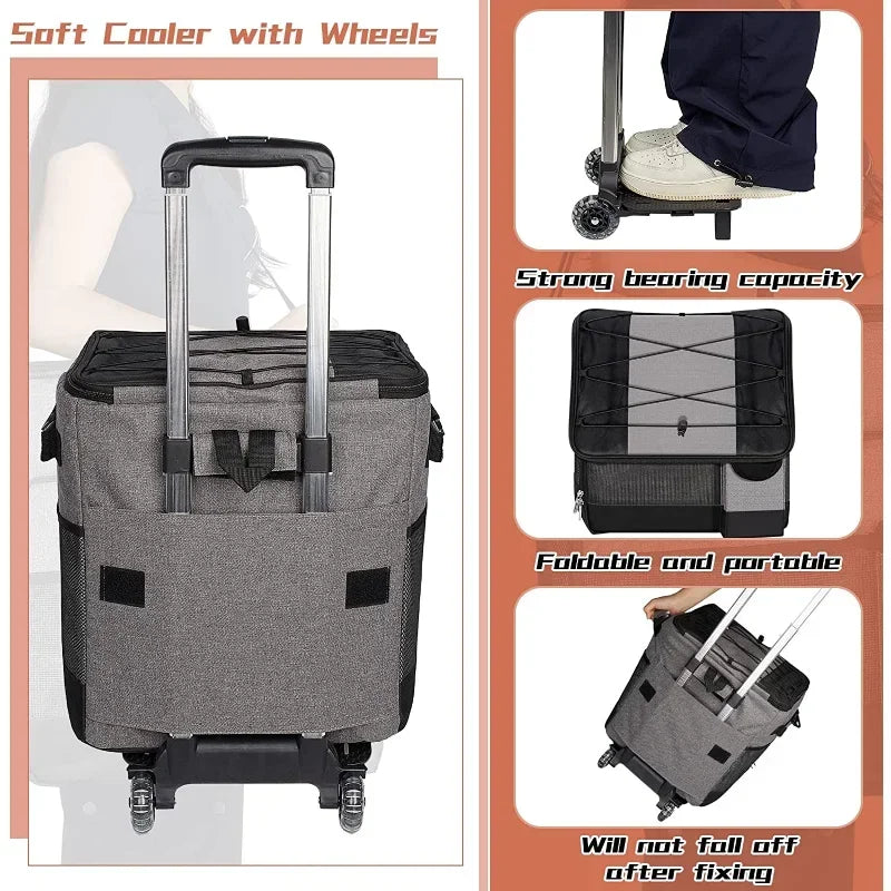 Rolling Cooler with Removable Wheels & Handle