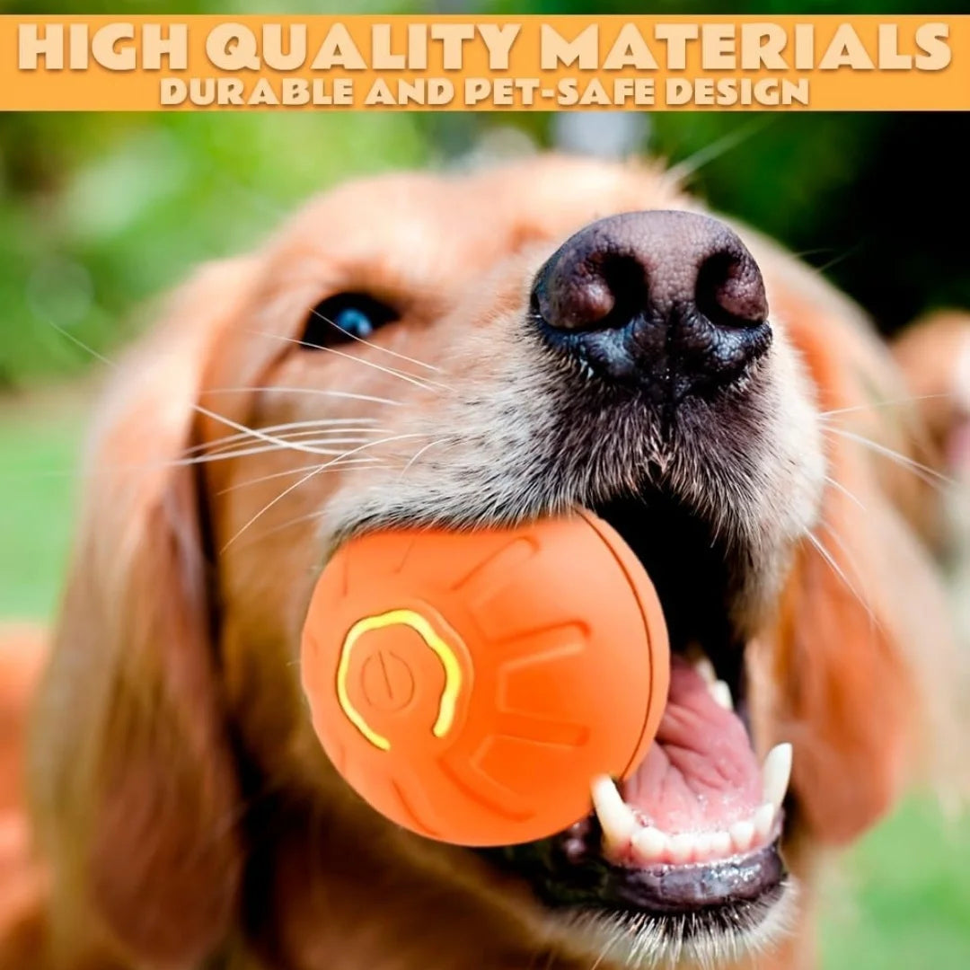 Smart Gravity Electric Bouncing Ball Pet Toy