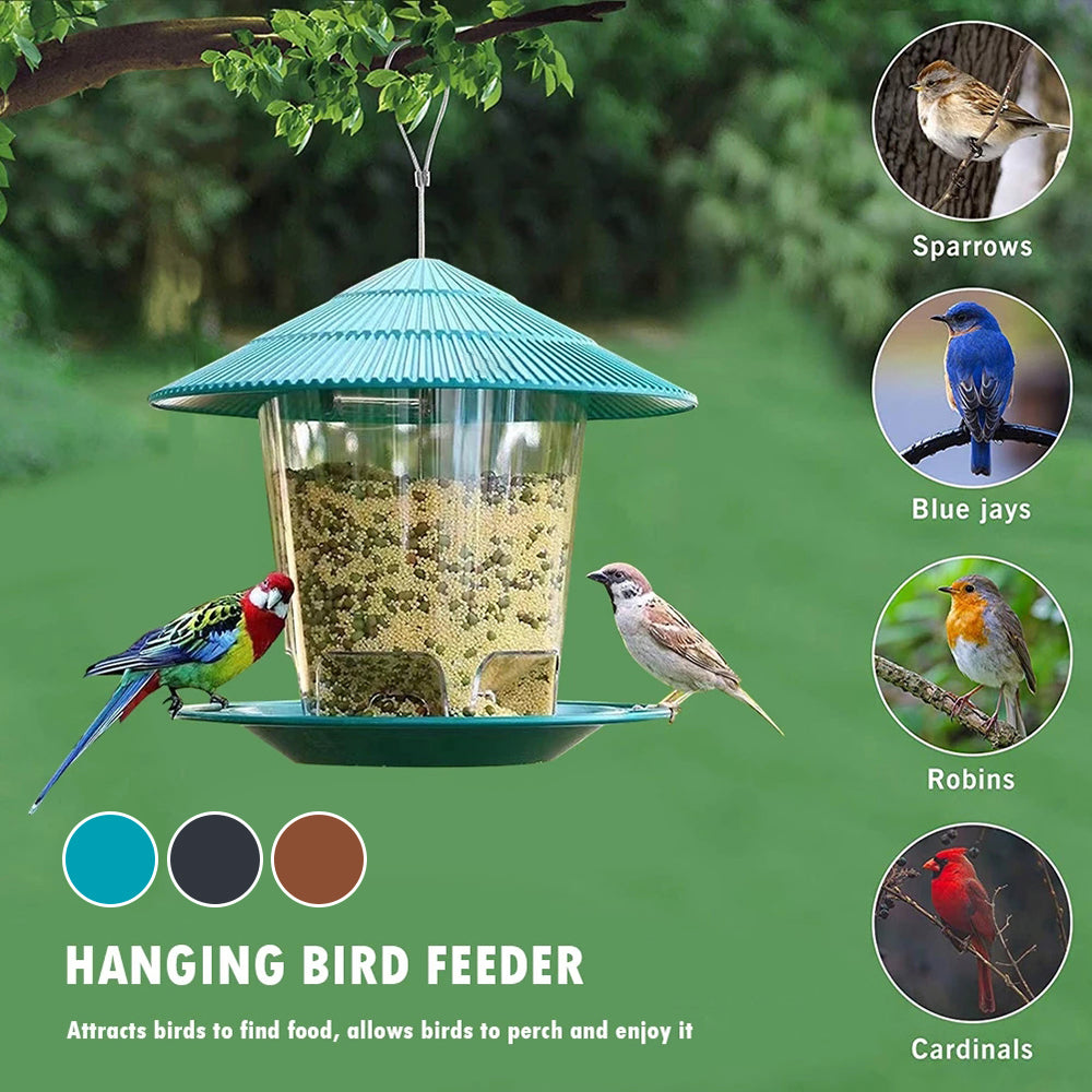 Hanging Bird Feeder with Multiple Hole Dispenser