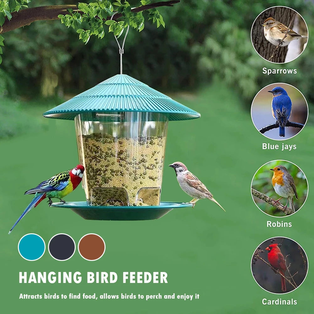 Hanging Bird Feeder with Multiple Hole Dispenser