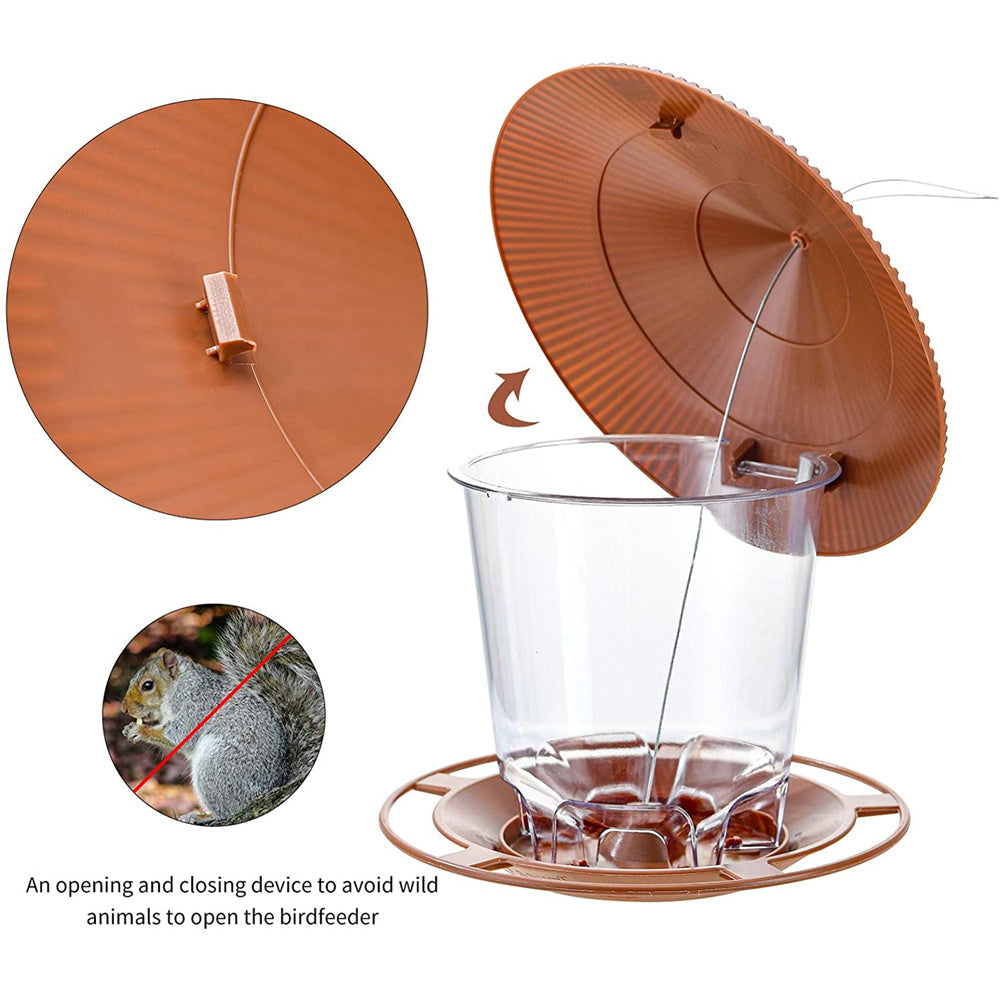 Hanging Bird Feeder with Multiple Hole Dispenser