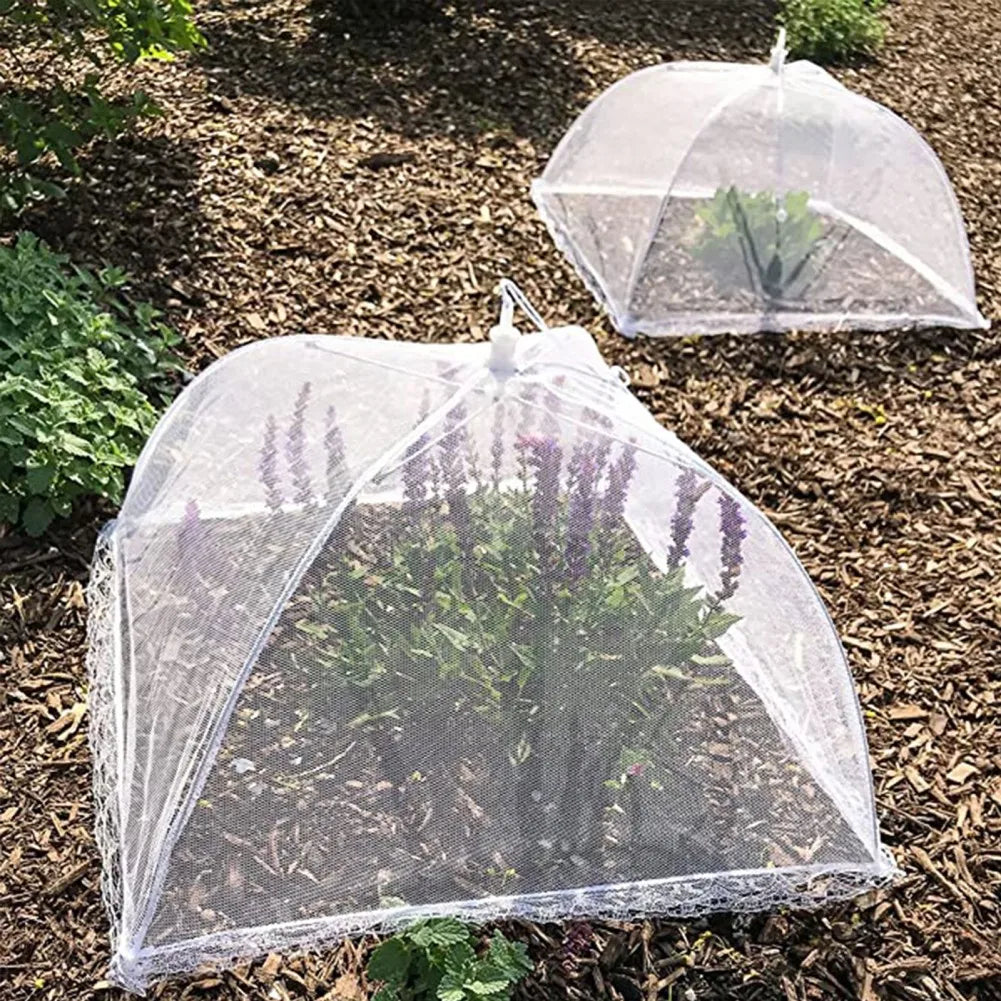 Foldable Food Mesh Cover