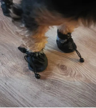 Waterproof Anti-Slip Dog Rain Boots (4 pcs)