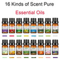 Pure Essential Oils Set – 16 Varieties for Diffuser